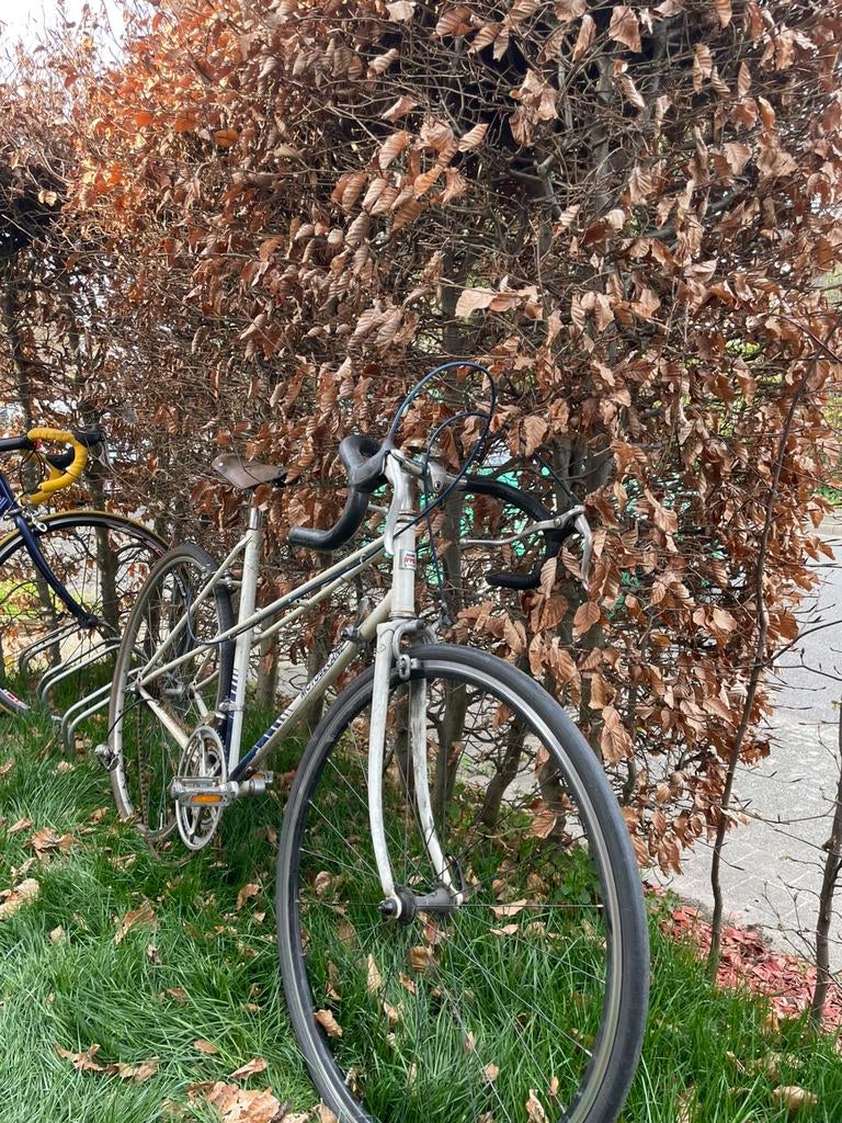 Volledig orginele Motobécane vrouwen racefiets, Fietsen en Brommers, Fietsen | Dames | Sportfietsen en Toerfietsen, Ophalen, Zo goed als nieuw