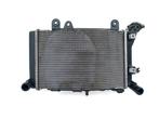 RADIATEUR BMW F 900 R 2018-2022 (F900R K83), Motoren, Gebruikt
