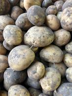 Polder aardappelen, Ophalen