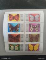 Tampons Papillons, Enlèvement ou Envoi