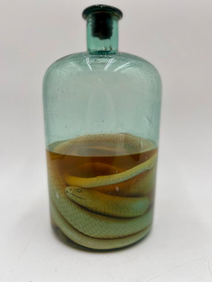 Tuyau d'eau robuste, Antiquités & Art, Curiosités & Brocante, Enlèvement