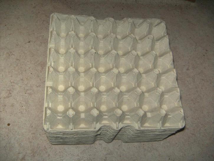 platte eierkartons, Animaux & Accessoires, Animaux Autre, Sexe inconnu, Janvier