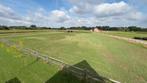 Weide met schuilhokken te huur in Rijmenam, Weidegang, 4 paarden of pony's of meer