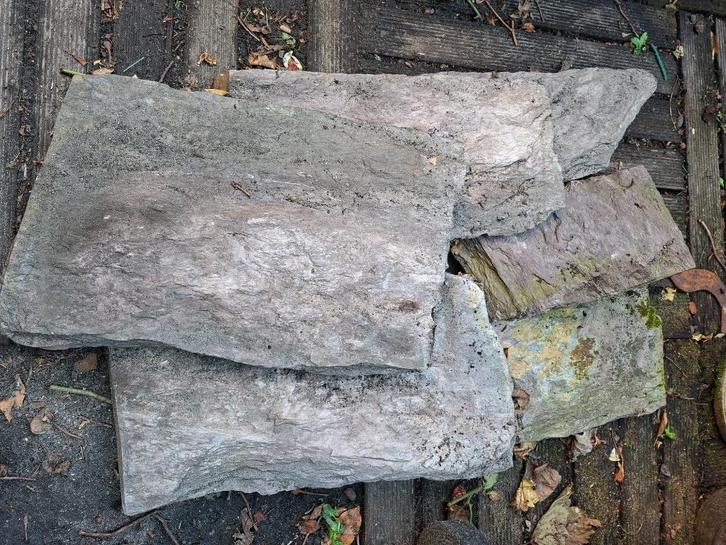 Grote vuursteen, Dieren en Toebehoren, Vissen | Aquaria en Toebehoren, Gebruikt, Plant(en), Steen of Hout, Ophalen