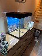 Aqaurium, Dieren en Toebehoren, Ophalen, Zo goed als nieuw