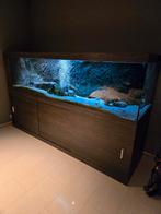 Aquarium monobloc 1225L, Animaux & Accessoires, Poissons | Aquariums & Accessoires, Enlèvement