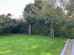 Red robin, Tuin en Terras, Planten | Struiken en Hagen, Ophalen
