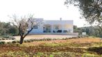 Vakantie in Puglia? Korting!, Eigenaar