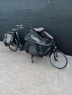 Johnny Loco elektrischebakfiets nieuwe batterij jaar garanti, Fietsen en Brommers, Ophalen of Verzenden, Zo goed als nieuw, 2 kinderen
