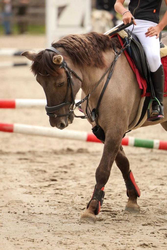 Prachtige kinderpony te koop, Animaux & Accessoires, Chevaux, Hongre, Ne s'applique pas, Moins de 160 cm, 11 ans ou plus, Cheval de récréation