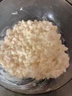 Verse melkkefirbloempjes te Herentals, Diversen, Levensmiddelen, Ophalen