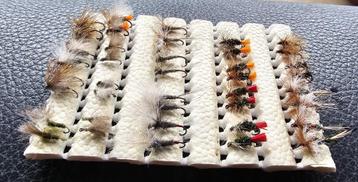 Setje droge vliegen beschikbaar voor biedingen