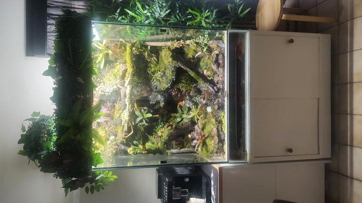Grote draaiende paludarium, Dieren en Toebehoren, Reptielen en Amfibieën | Toebehoren, Zo goed als nieuw, Ophalen