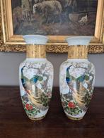 Antieke chinese pauwen vazen pauw vaas, Antiek en Kunst, Ophalen