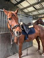 Springzadel te koop, Animaux & Accessoires, Chevaux & Poneys | Selles, Obstacle, Enlèvement, Utilisé