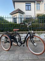 Papillon Tri - Bike driewieler met elektrische ondersteuning, Fietsen en Brommers, Nieuw