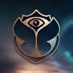 Pass d'agrément du dimanche Tomorrowland W2, Une personne