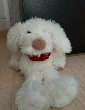 Knuffelhond beschikbaar voor biedingen