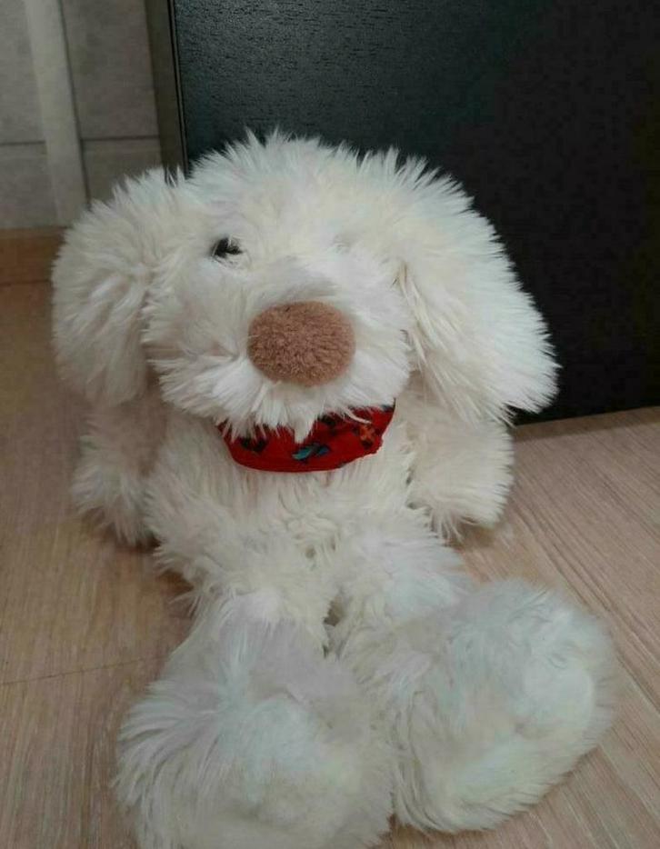 Knuffelhond, Kinderen en Baby's, Speelgoed | Knuffels en Pluche, Zo goed als nieuw, Ophalen of Verzenden