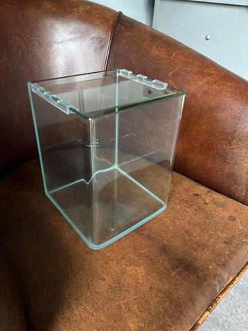 Stijlvolle aquarium in glas beschikbaar voor biedingen