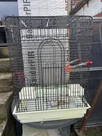 Vogelkooi kanaries / parkiet / papegaai, Dieren en Toebehoren, Ophalen of Verzenden, Gebruikt, Vogelkooi