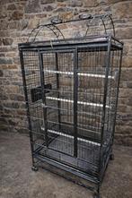 Papegaai Kooi 2dehands, Ophalen