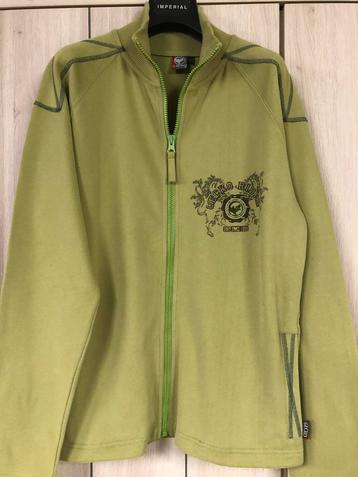 Gilet : Gecko : taille 176, Garçon, Enlèvement ou Envoi, Pull ou Veste, Comme neuf