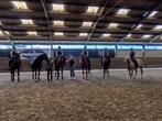 Lesgeefster paardrijden aangeboden, Dieren en Toebehoren, Ophalen