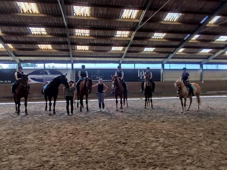 Lesgeefster paardrijden aangeboden, Dieren en Toebehoren, Paarden en Pony's | Overige Paardenspullen, Ophalen