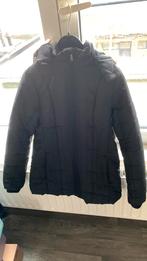 Zwarte winterjas, Kleding | Dames, Jassen | Winter, Ophalen, Zo goed als nieuw, Maat 38/40 (M)