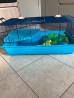 Kooi voor hamster met eten en stro ,zand en andere dingen, Dieren en Toebehoren, Ophalen, Zo goed als nieuw, Kooi, Hamster