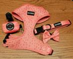 Harnas, halsband, strikje en poepzakjes houder (set roze), Ophalen of Verzenden, Zo goed als nieuw
