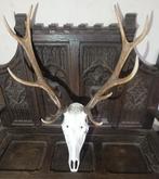 Gewei Hert (I), Antiek en Kunst, Ophalen