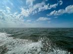 Te koop gevraagd; visboot zeebaars lhp vergunning, Watersport en Boten, Ophalen of Verzenden, Nieuw