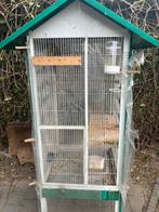 BERGPARKIET MET OF ZONDER KOOI NU 80 EURO, Dieren en Toebehoren, Vogels | Parkieten en Papegaaien, Meerdere dieren, Parkiet