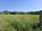 Percelen landbouwgrond, Holsbeek, Verkoop zonder makelaar, 1500 m² of meer
