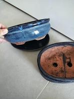 2 blauwe bonsai potten met schaal, Huis en Inrichting, Kamerplanten, Ophalen, Bonsai