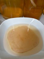 Scoby Zwam voor Kombucha, Diversen, Levensmiddelen, Ophalen