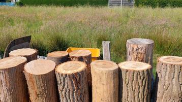 Nagelblokken verschillende houtsoorten 90 cm hoog beschikbaar voor biedingen