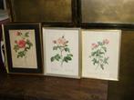 3 ingelijste bloementekeningen (rozen), Antiquités & Art, Art | Dessins & Photographie, Enlèvement