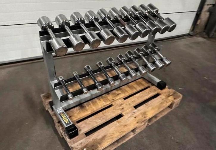 Technogym  Dumbells 1kg t/m 10kg + Technogym Opbergrek, Sport en Fitness, Fitnessmaterialen, Gebruikt, Dumbbell, Ophalen