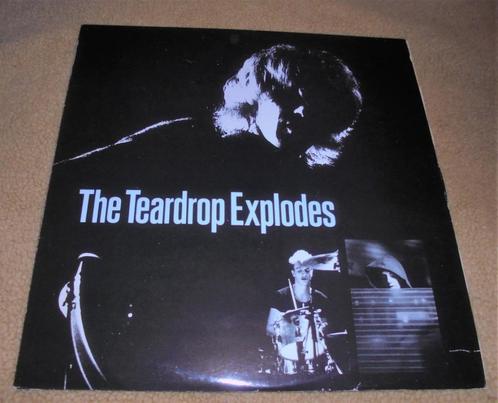 THE TEARDROP EXPLODES - YOU DISAPPEAR FROM VIEW - 12INCH - 1, CD & DVD, Vinyles | Rock, Utilisé, Alternatif, 12 pouces, Enlèvement ou Envoi