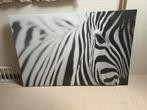 Zebra IKEA 78x118, Photo ou Poster, 100 à 125 cm, 75 cm ou plus, Enlèvement