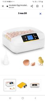Broedmachine,incubator,32 eieren,automatisch, Animaux & Accessoires, Volatiles | Accessoires, Couveuse, Enlèvement, Utilisé