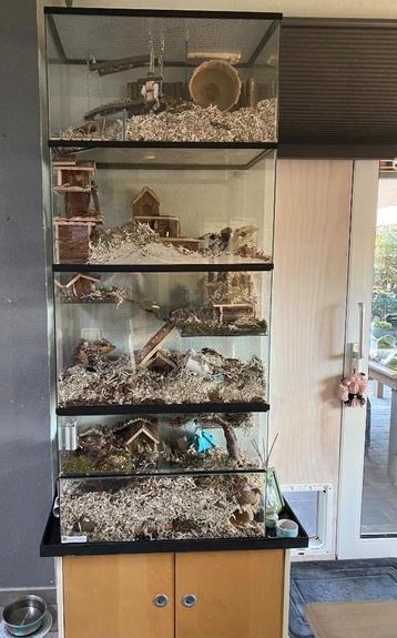 Handige Opzetstukken voor Terrariums en Gerbilariums, Neuf, Enlèvement ou Envoi, Moins de 60 cm, Hamster