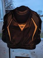 TE KOOP: MOTORPAK DAINESE, Motoren, Ophalen, Dainese, Dames, Overall