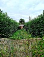 Jardin, Enlèvement ou Envoi