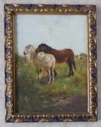 HENRY SCHOUTEN / TWEE PAARDEN / OLIEVERF / 70x55cm / KADER, Enlèvement ou Envoi