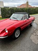 Alfa Romeo spider 1.6, Particulier, Alfa Romeo, Te koop