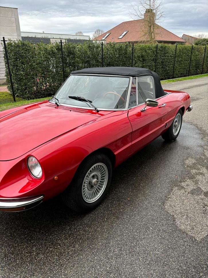Alfa Romeo spider 1.6, Auto's, Oldtimers, Particulier, Alfa Romeo, Ophalen